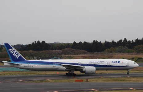 ANA 77W JA782A.jpg