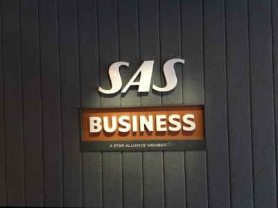 SAS logo.jpg