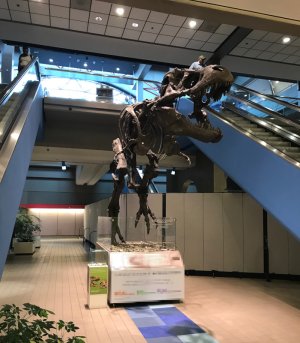 Flyplass19.JPG