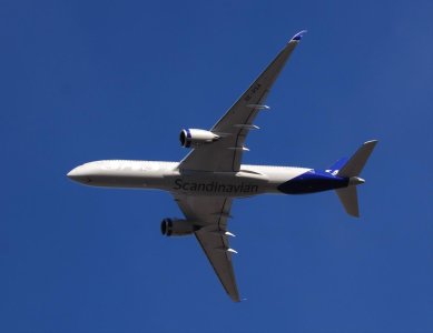 DSC_3908.jpg