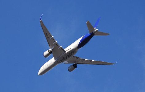DSC_3910.jpg