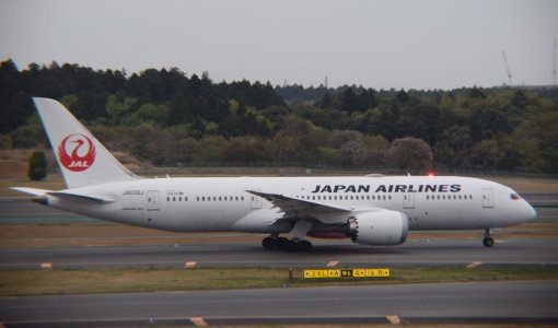 JA838J JAL B787-8.jpg