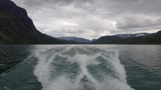 20200629_154256.jpg