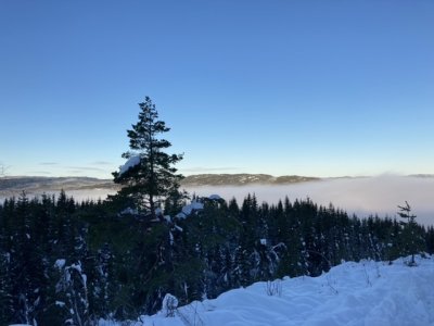 C90C3CDD-0DC0-455E-B236-E212A3A714F5.jpeg C90C3CDD-0DC0-455E-B236-E212A3A714F5.jpeg