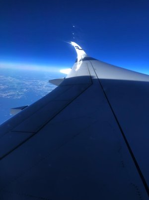 AY350.jpg