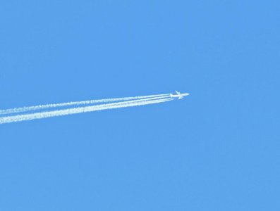 Fly.jpg