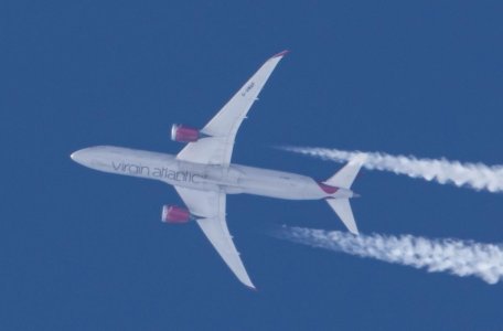 virgin789.jpg