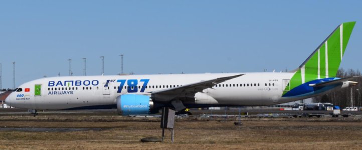 VN-A819 B787-9.jpg