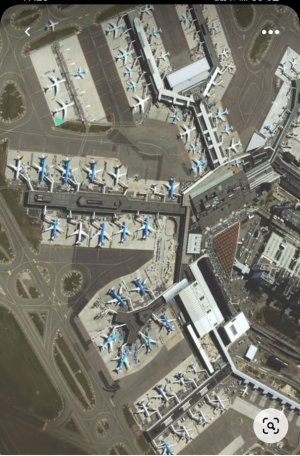 ams.jpg