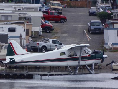 Beaver 2.jpg