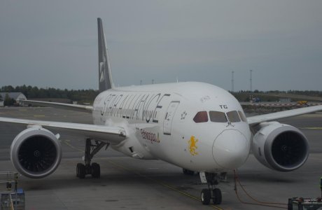 Ethiopian B-787.jpg