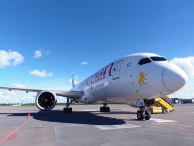 Ethiopian B787-8.jpg
