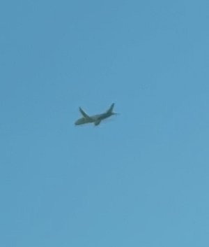 90078793-20A7-4752-B3CC-D041FC88752D.jpg