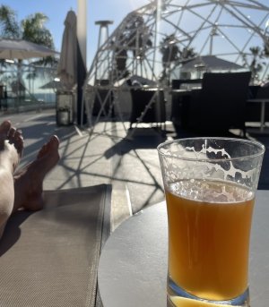 7DAA0032-5FBA-4F8A-A9D7-704C6A66CA5F.jpeg 7DAA0032-5FBA-4F8A-A9D7-704C6A66CA5F.jpeg