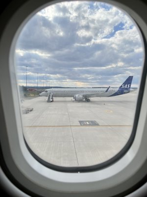 B12ADCB5-EC04-47CE-AEE8-EB0CC3582072.jpeg