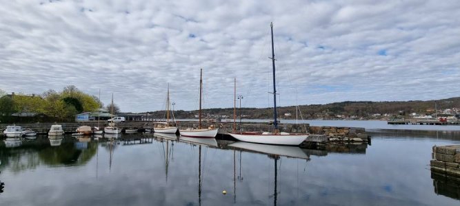 20220430_094144.jpg