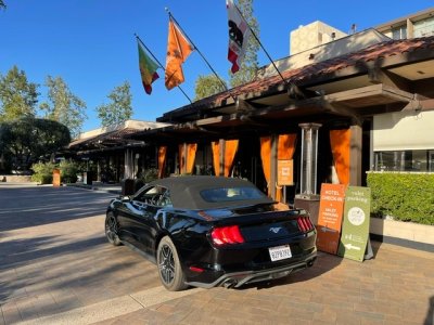 BFE49C6A-B9FE-4677-BE9C-BCAA6A773815.jpeg BFE49C6A-B9FE-4677-BE9C-BCAA6A773815.jpeg