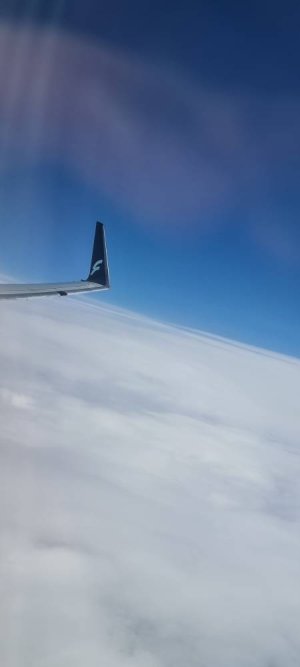 20220513_150842.jpg 20220513_150842.jpg
