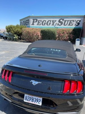 89043093-306B-4886-8BF1-C83CF67FE9D7.jpeg 89043093-306B-4886-8BF1-C83CF67FE9D7.jpeg