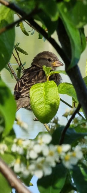 20220515_084828.jpg 20220515_084828.jpg