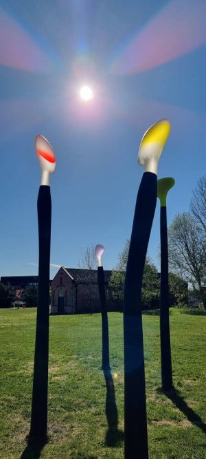 20220515_091703.jpg 20220515_091703.jpg