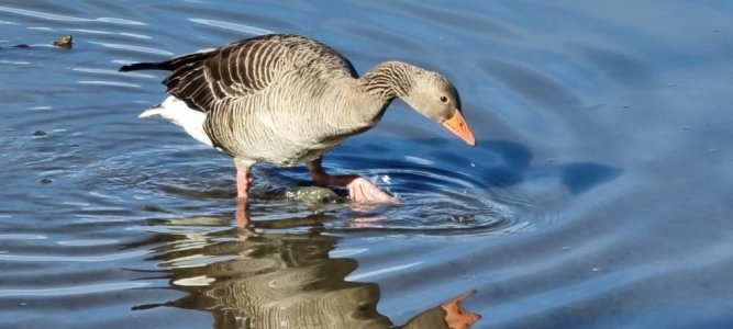 20220515_085229.jpg 20220515_085229.jpg