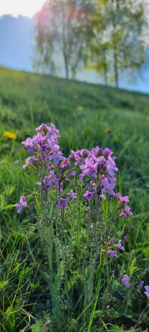 20220515_084402.jpg 20220515_084402.jpg