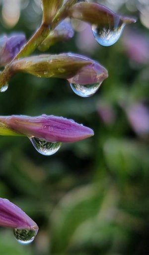 20220707_054121.jpg 20220707_054121.jpg