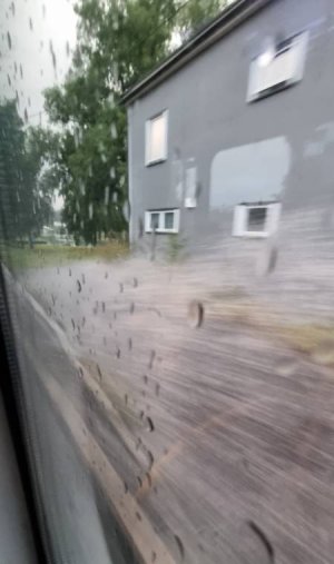 20220816_054536.jpg