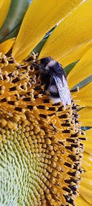 20220822_053804.jpg