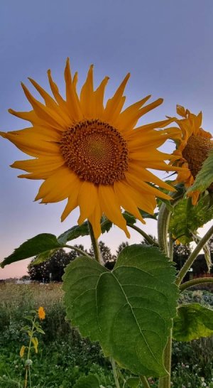 20220826_053621.jpg