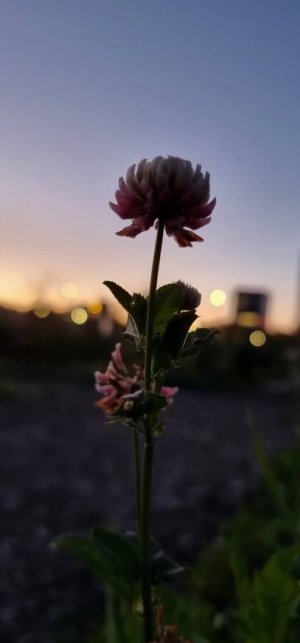 20220901_053627.jpg