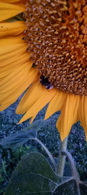 20220901_053932.jpg