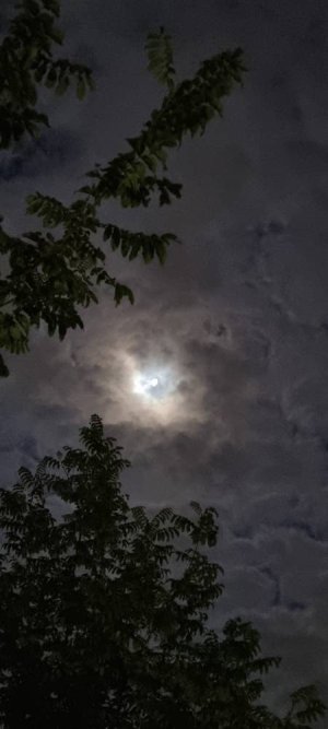 20220915_052948.jpg