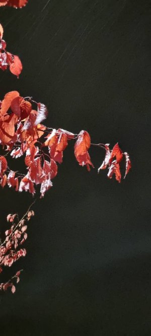20220927_053540.jpg