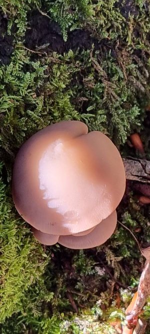 20221008_155042.jpg