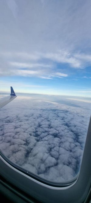20221022_093156.jpg