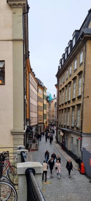 20221022_121955.jpg