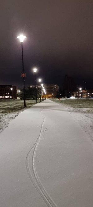 20221122_052830.jpg