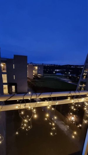 20221203_080843.jpg
