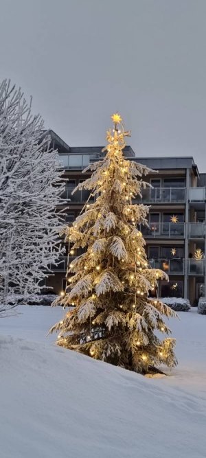 20221224_085956.jpg