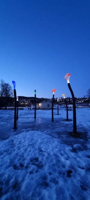20230218_071054.jpg