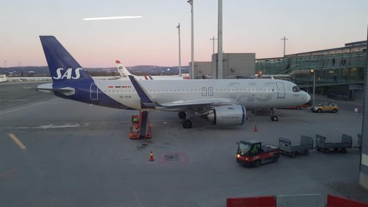 20230310_064935 1.jpg