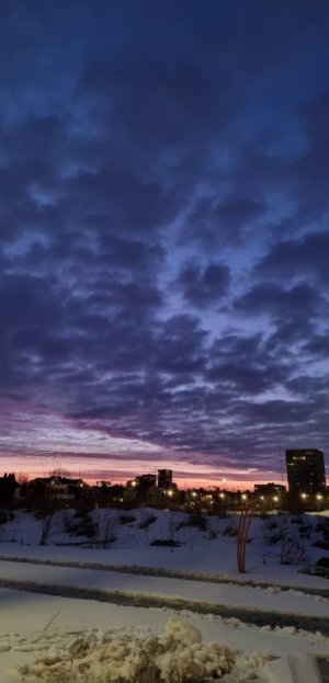 20230321_052922.jpg