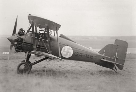 Gloster_gamecock.jpg