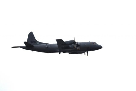 3299_Ulabrand_01.jpg