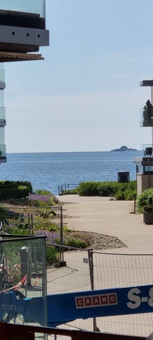 20230626_114129.jpg