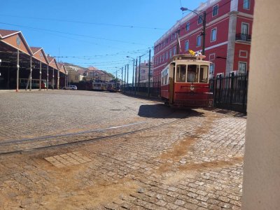 20230710_165511.jpg