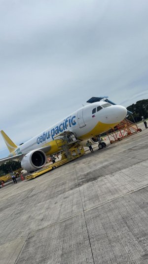 cebu.jpg