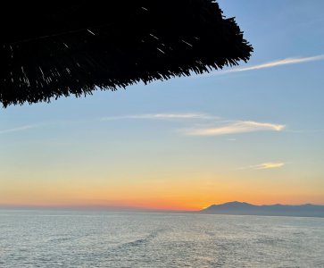 IMG_8946.jpeg